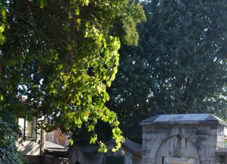 The Past as a Mirror to the Future