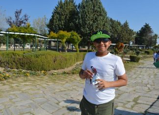 The Democratic Nature of the Serbian Parliament