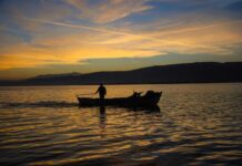 An Abandoned Government Building Project in Sofia