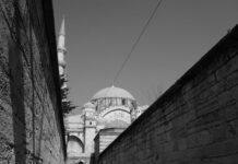 Admiring the Famous Fortification