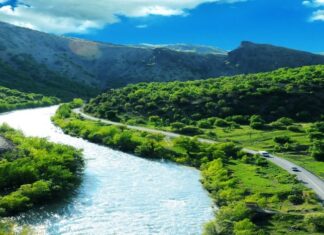 Suspicion and the Fall of a Turkish Governor