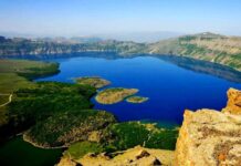 Conversations with the Chiauses