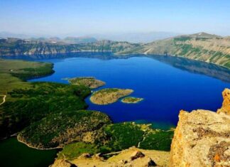 Conversations with the Chiauses