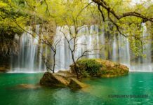 Different Beliefs About the Crocodile in Egypt